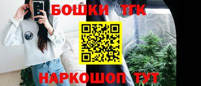 хмурый Бийск