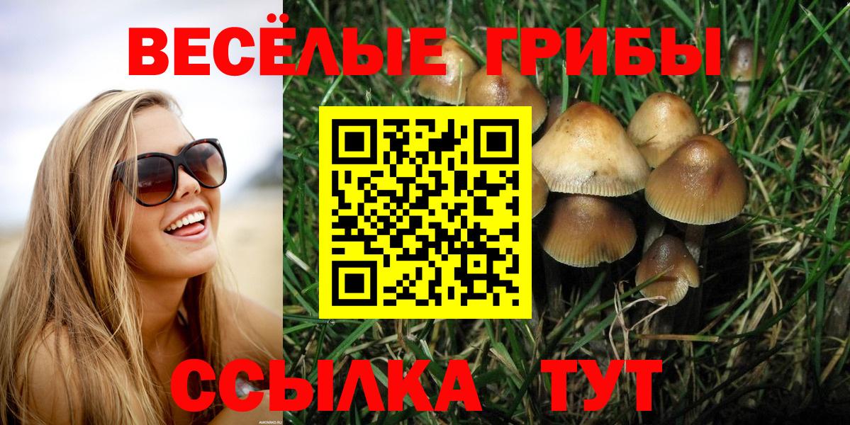 Галлюциногенные грибы Cubensis  Вход с VPN  Ишимбай 